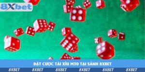 dat-cuoc-tai-xiu-m30-tai-sanh-8xbet